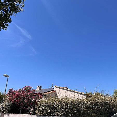 Villa Des Romieux Pinet  Esterno foto